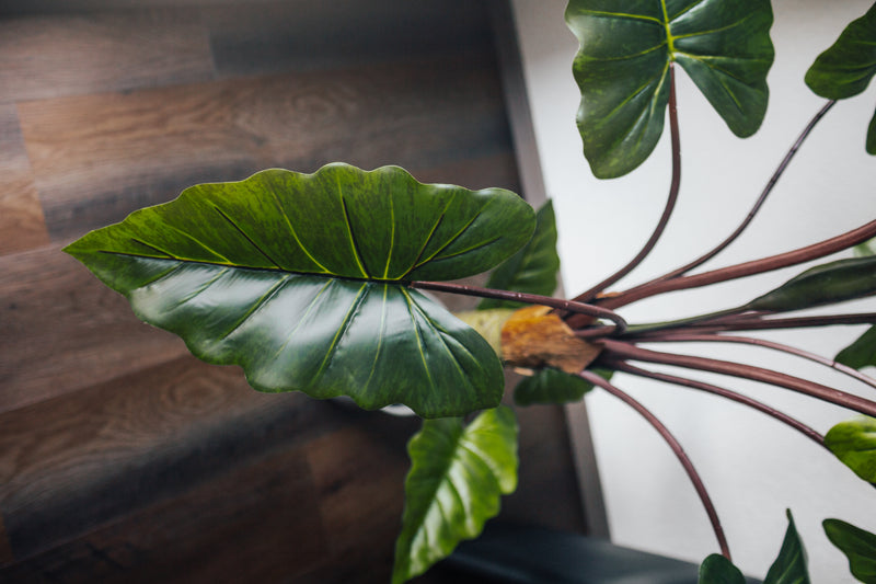 Planta artificial Alocasia 160 cm