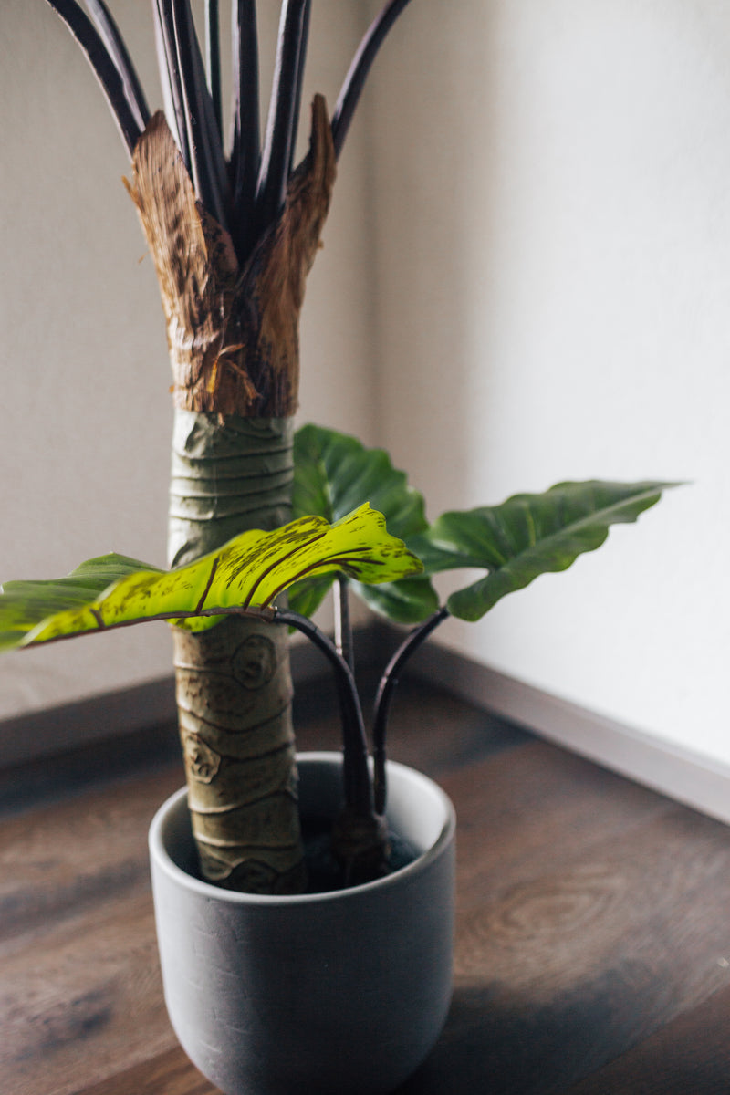 Planta artificial Alocasia 160 cm