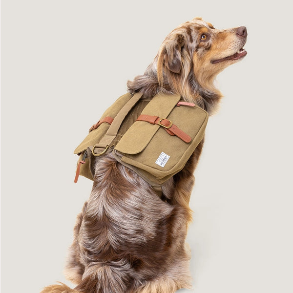Borsa per cani Ranger