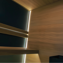 Sauna Clarity Black Indoor- & Outdoor