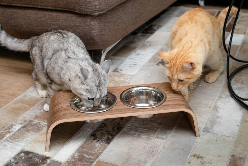 Supporto in legno rialzato per cani e gatti