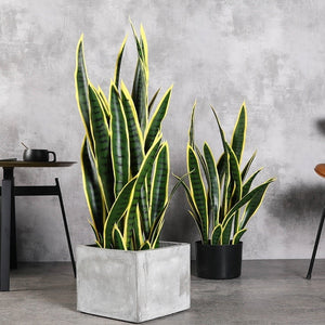 Pianta di caco artificiale Sansevieria laurenti 40 cm