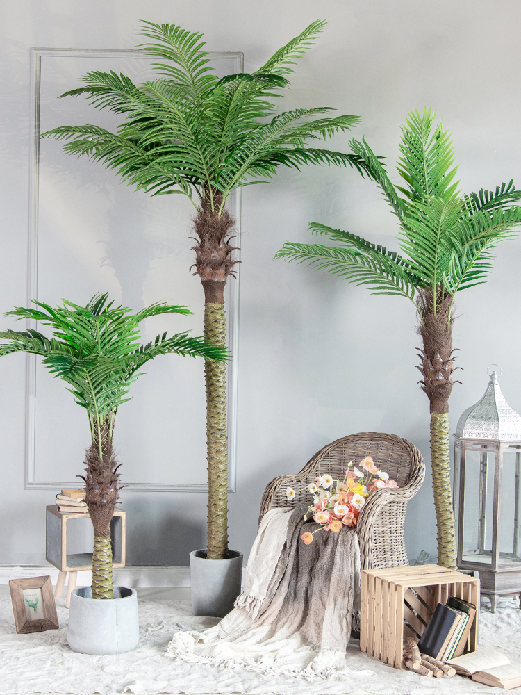 Pianta artificiale Palma da dattero Phoenix canariensis 250 cm