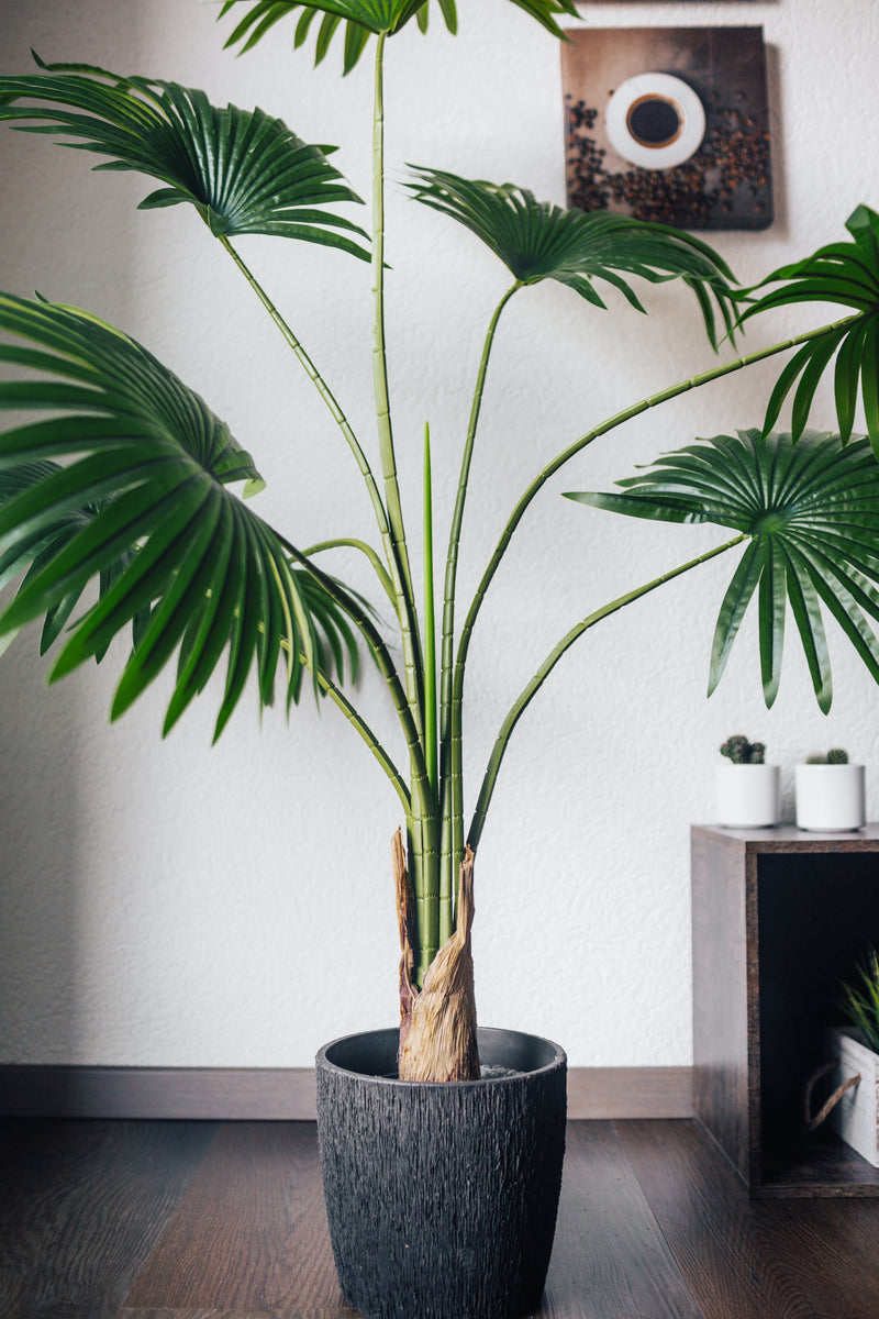 Planta artificiale Palmito Chamaerops Humilis 140 cm