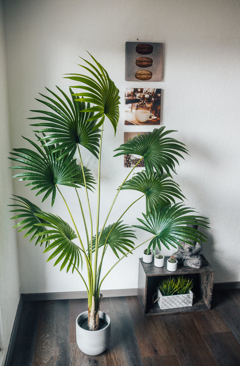 Pianta artificiale Palmito Chamaerops Humilis 180 cm
