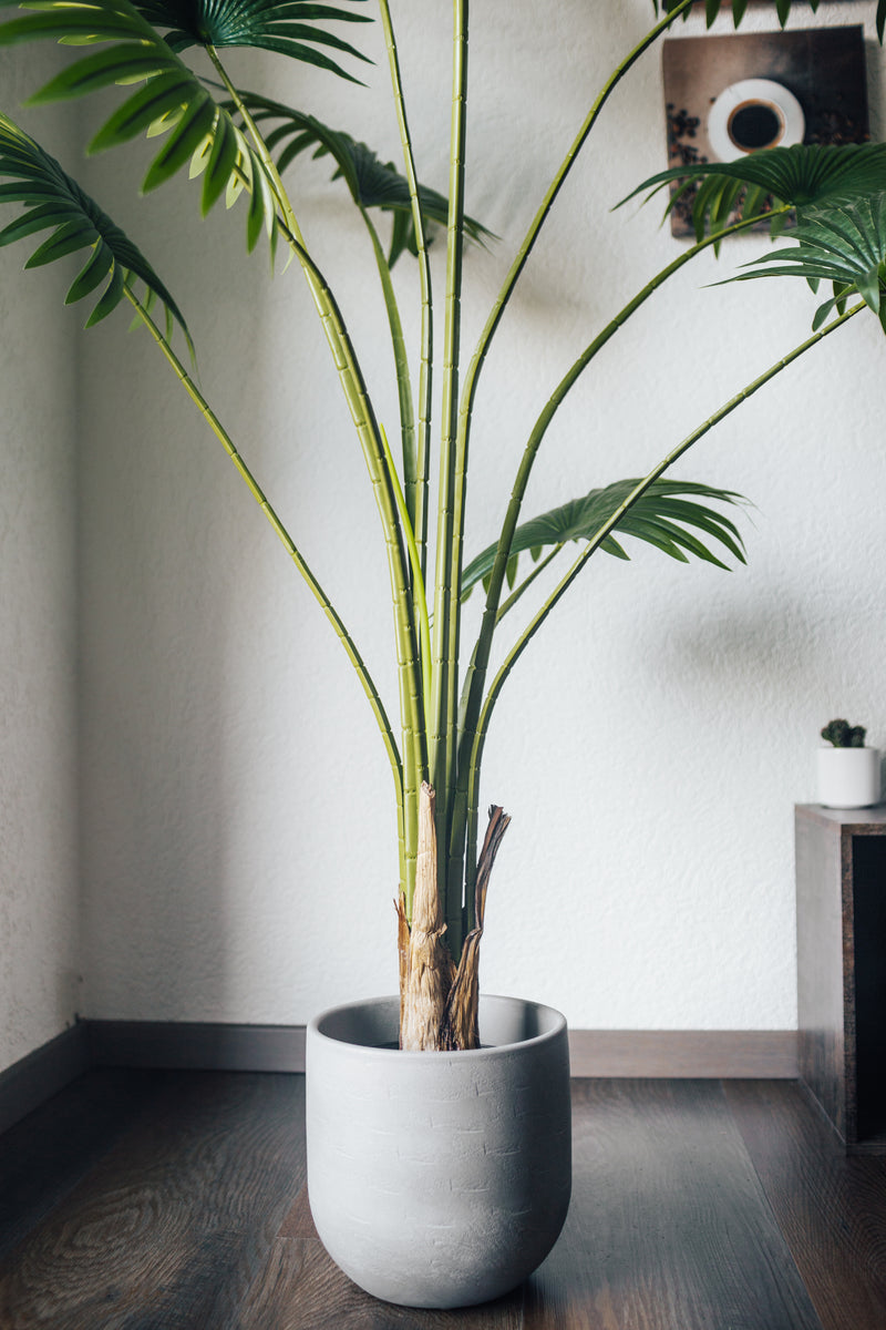 Pianta artificiale Palmito Chamaerops Humilis 180 cm