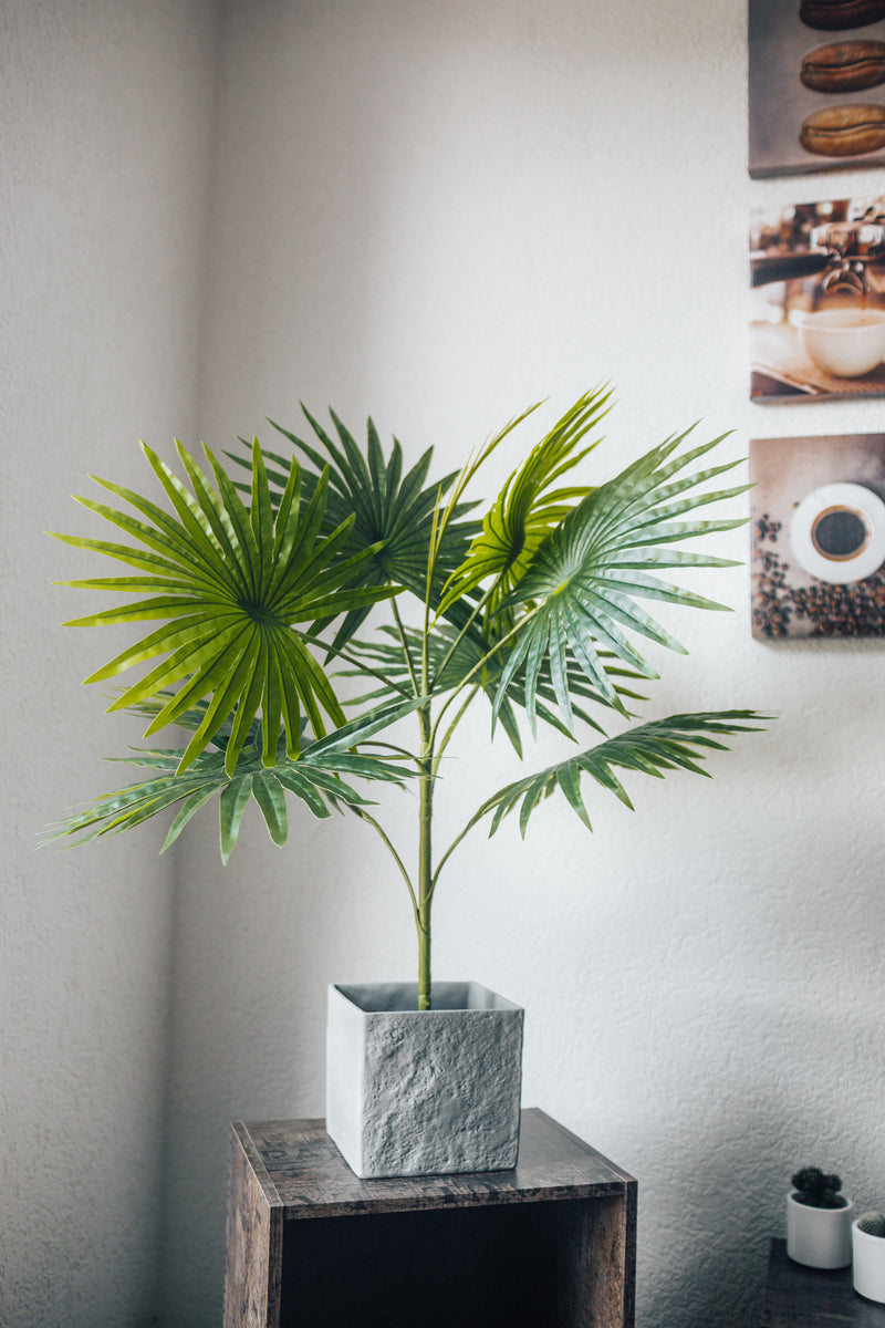 Pianta artificiale Palmito Chamaerops Humilis 80 cm