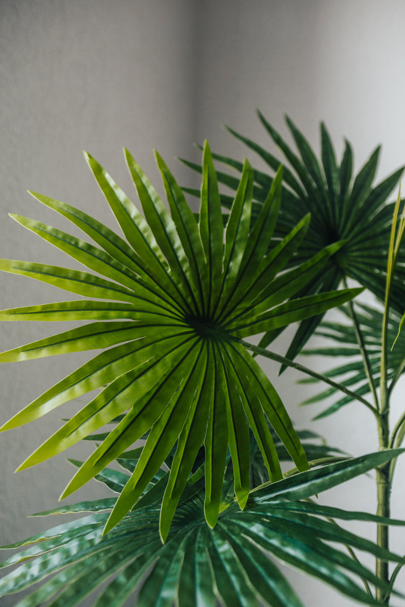 Pianta artificiale Palmito Chamaerops Humilis 80 cm