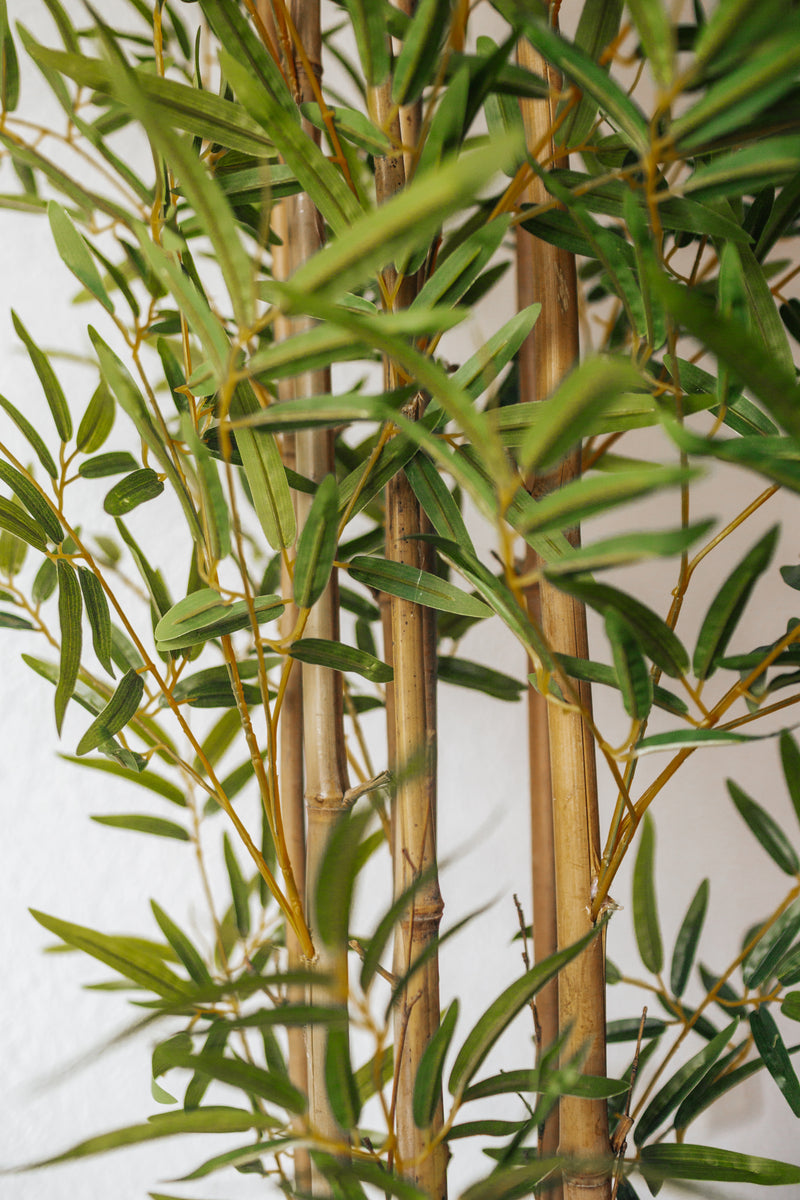 Higuera llorona artificiale Ficus benjamina 200 cm