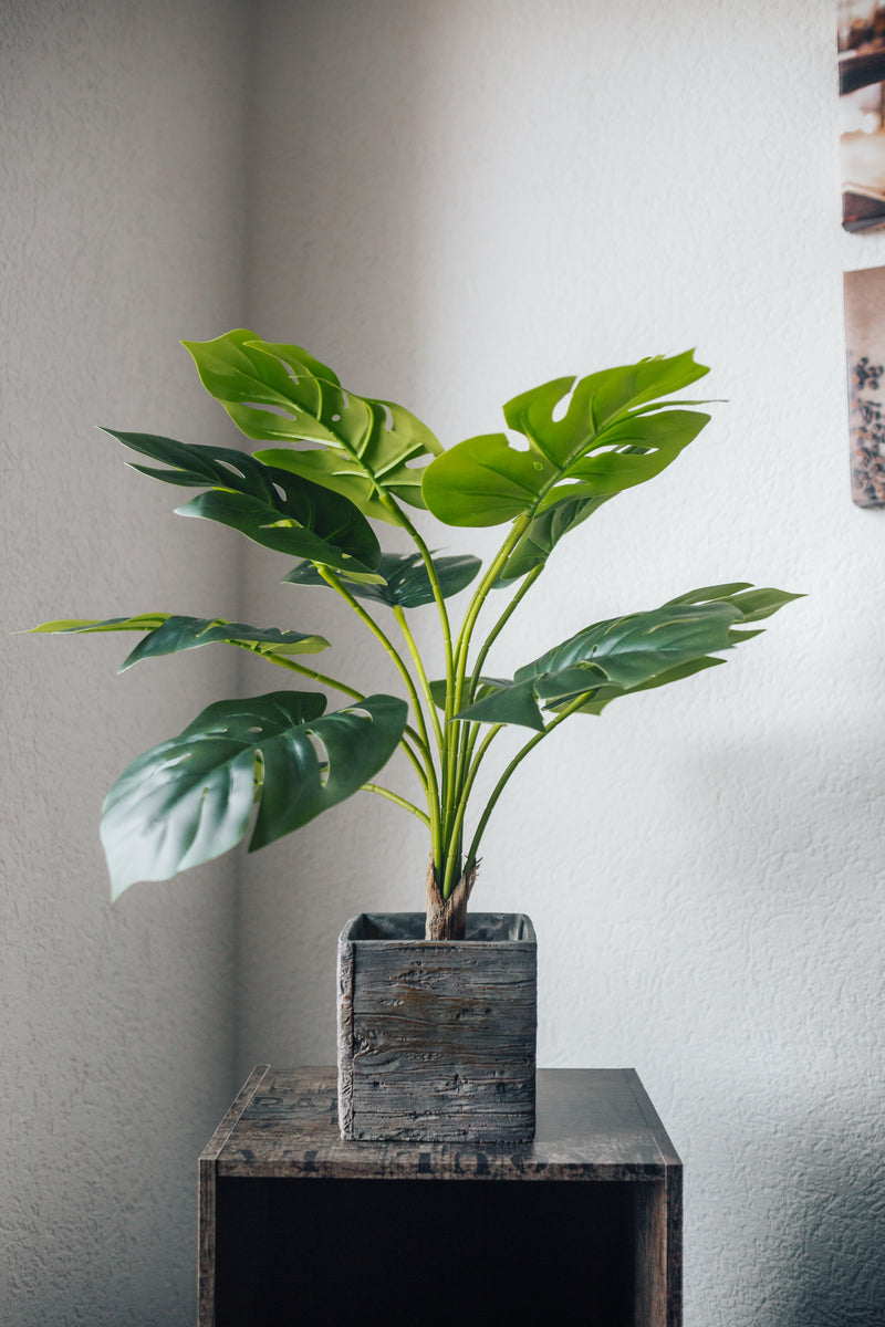 Pianta artificiale Philodendron Monstera 70 cm