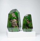 Prisma Cube Muschio vero