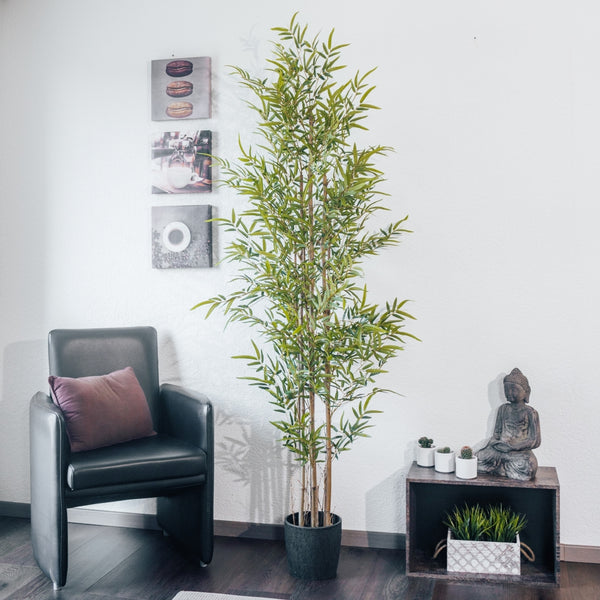 Pianta artificiale Fico della Betulla Ficus benjamina 200 cm