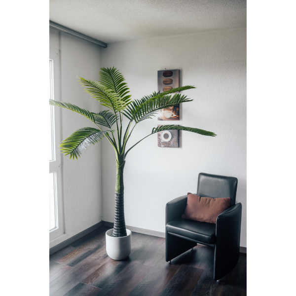 Pianta artificiale Palma da dattero Phoenix canariensis 230 cm