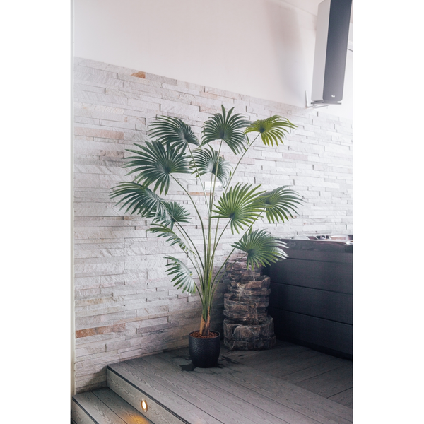 Pianta artificiale Ventaglio di palma Chamaerops Humilis 200 cm